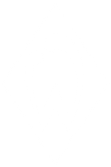 SV Werder Bremen