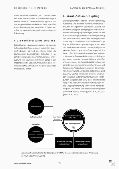 Pain & Performance Essentials Companion